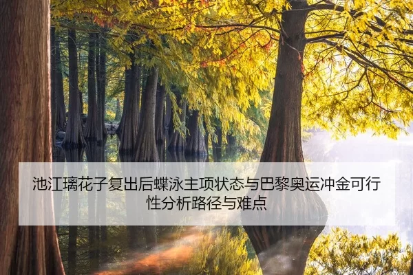 池江璃花子复出后蝶泳主项状态与巴黎奥运冲金可行性分析路径与难点